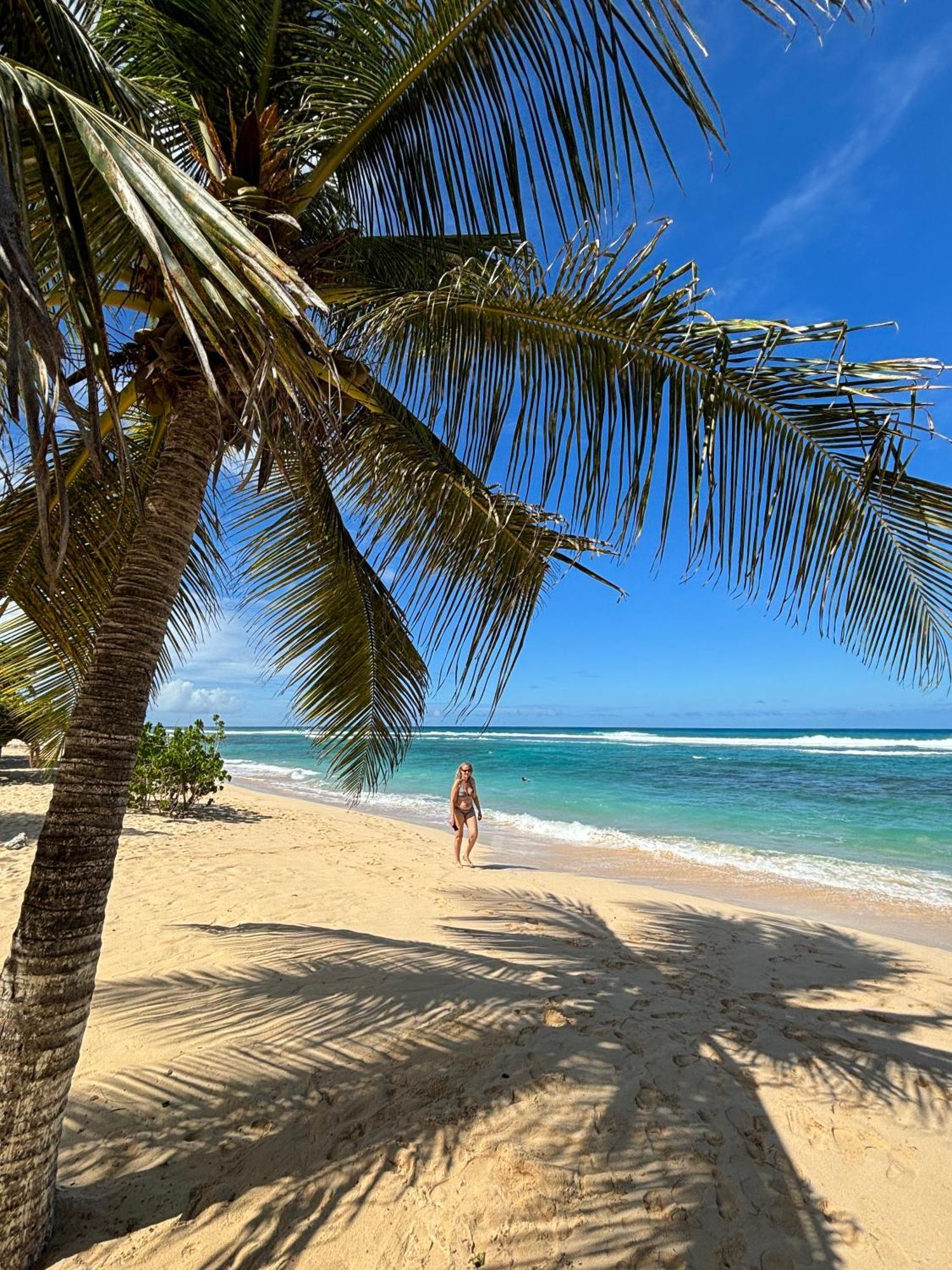 Villa Les Flamboyants à Anse-Bertrand Extérieur photo
