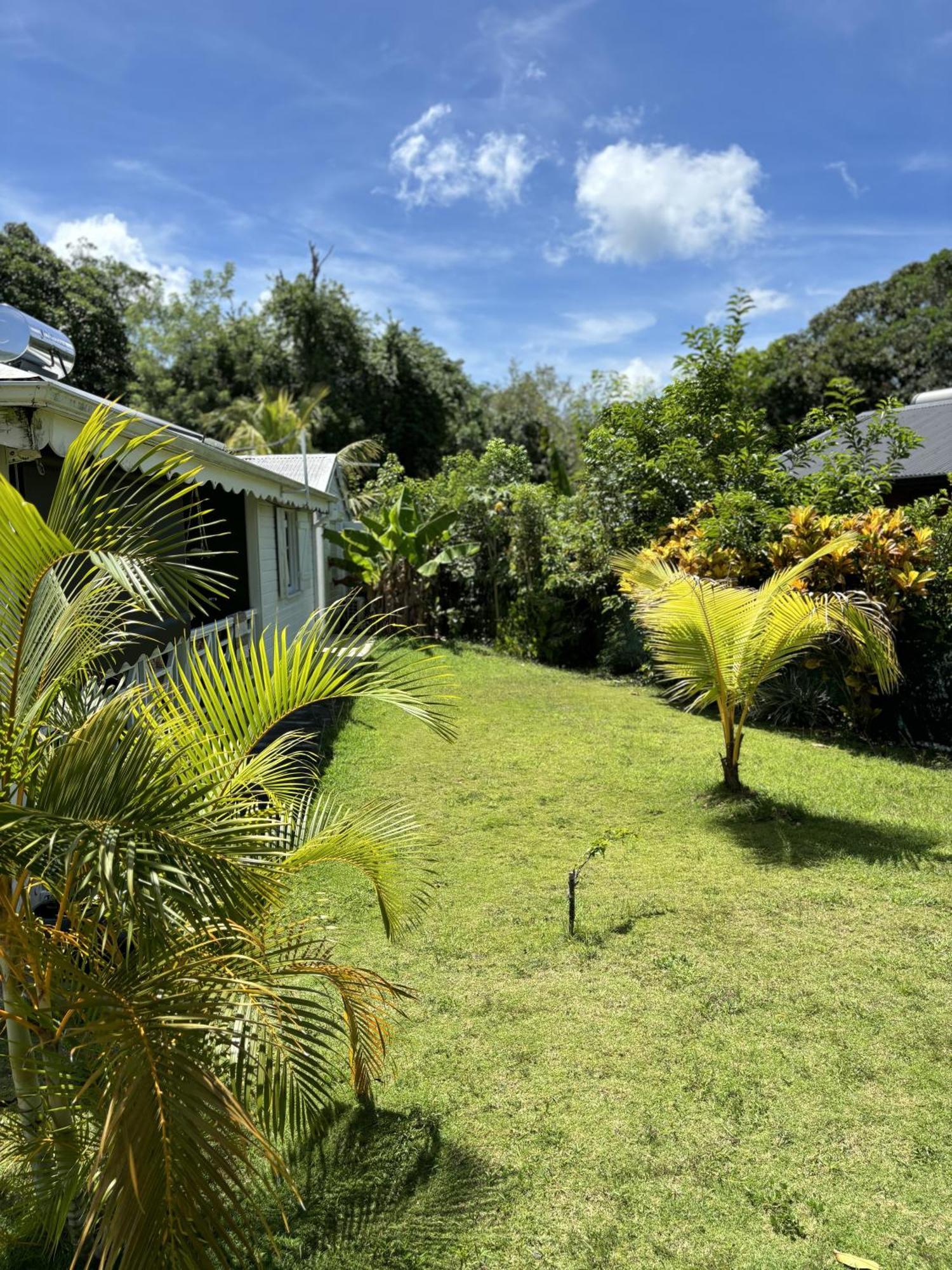 Villa Les Flamboyants à Anse-Bertrand Extérieur photo