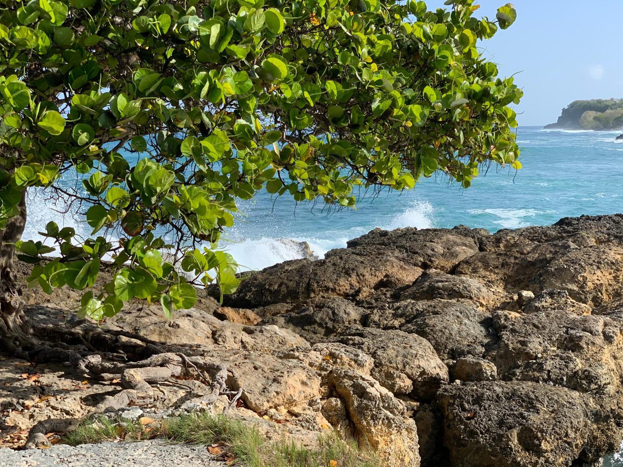 Villa Les Flamboyants à Anse-Bertrand Extérieur photo