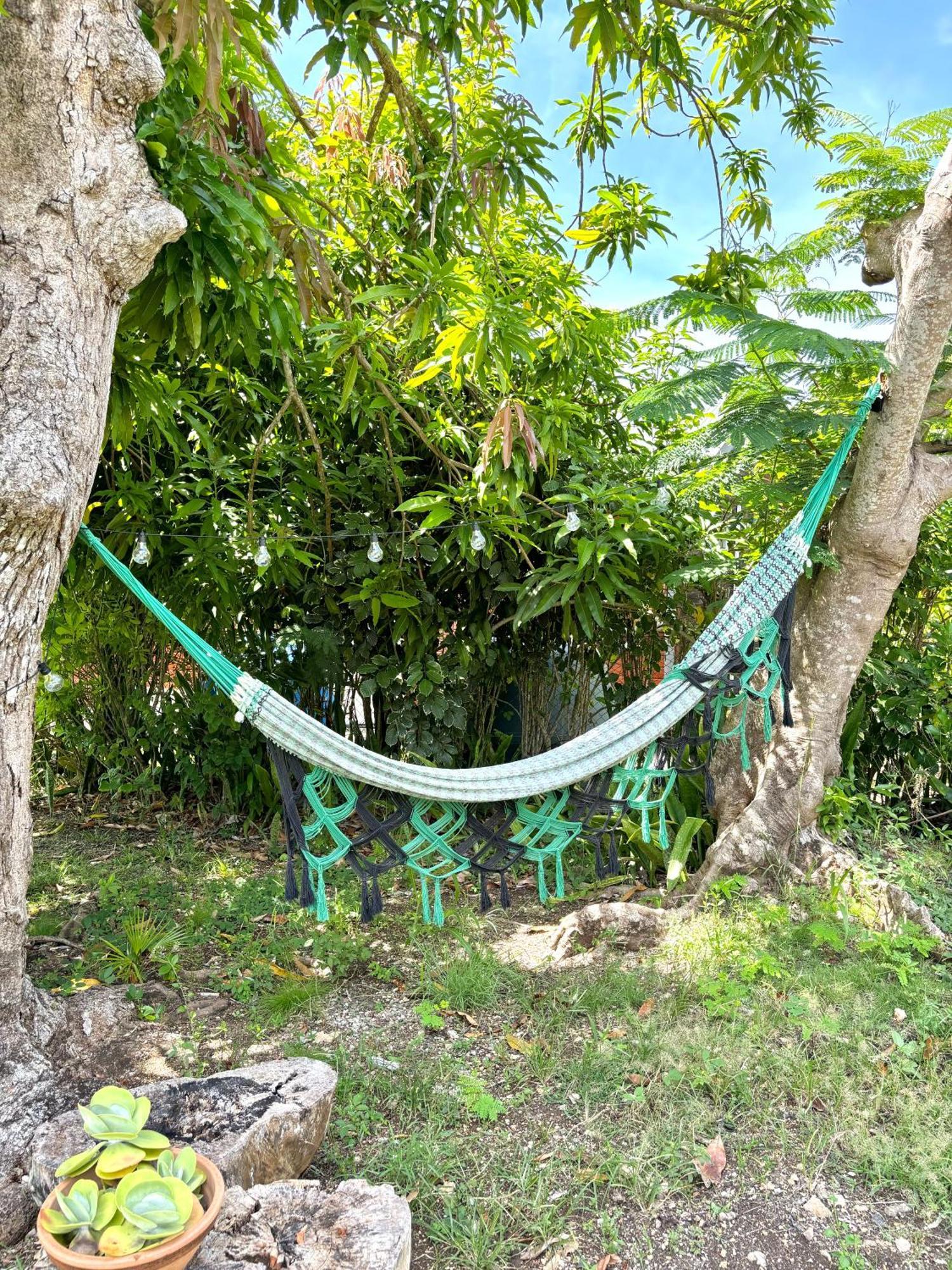 Villa Les Flamboyants à Anse-Bertrand Extérieur photo
